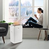 Мобильный кондиционер Ballu BPHS-13H серия Platinum Comfort